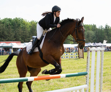 Show Jumping 5