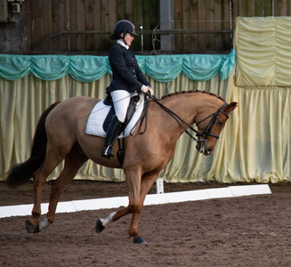 Dressage Askham Bryan