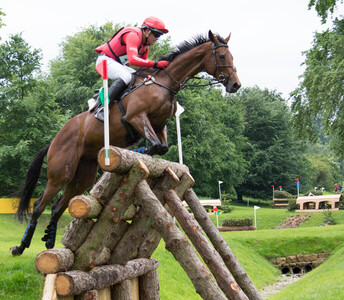 Horse Jumping