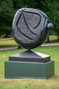 JM - Still Life and Macro