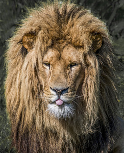 Forgotten to put something away