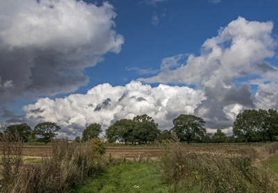 Cumulus congestus