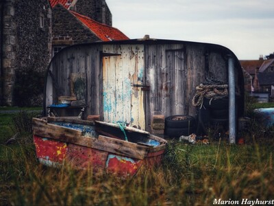 May - Boatshed, Holy Island by Marion Hayhurst