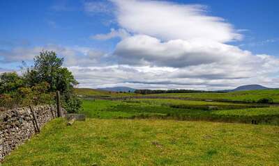 Summer Landscape