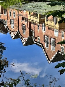 Foss reflection