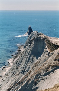 Cape Kidnappers Gannet Colony, NZ