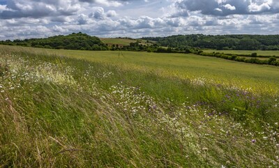 Conservation grade farming