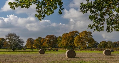 Autumn bales