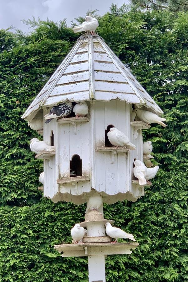 Dovecote