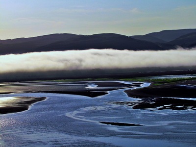 Low Tide