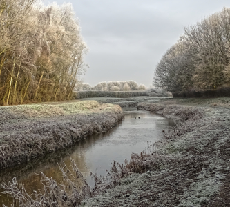 Foss at Huntington 2