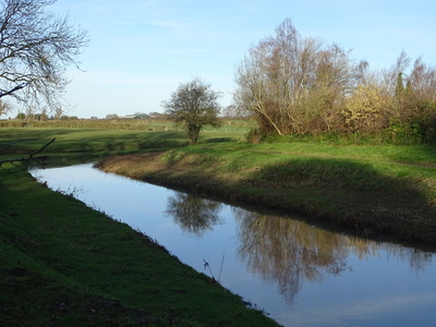 Reflecting on the Foss