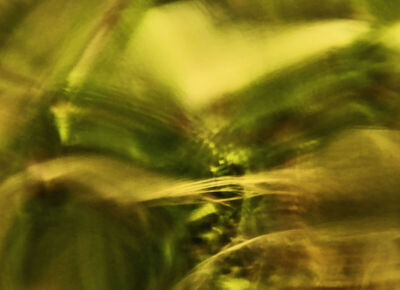 MRS - Intentional Camera Movement