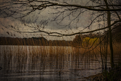 MS- Modern Pictorialism