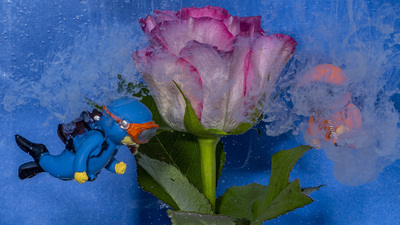 Underwater Gardening.