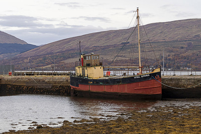 The Vital Spark - Oban