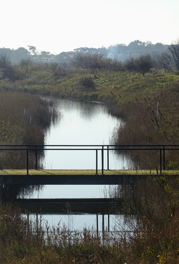 Backwater