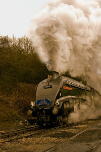 July - The Flying Scotsman by Tony Frith