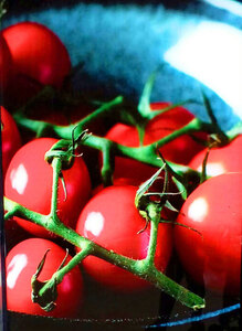Life is Just a Bowl of Cherry Tomatoes