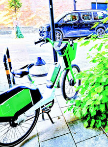 Street still life : Pam