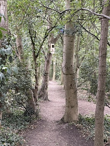 Nature Trail