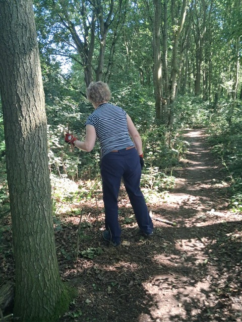 Cutting the overhanging vegitation