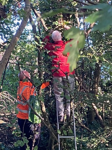 Squirrel Nest Box Installation1