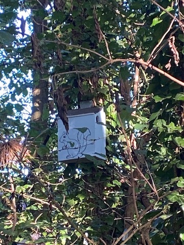 Squirrel Nest Box 2