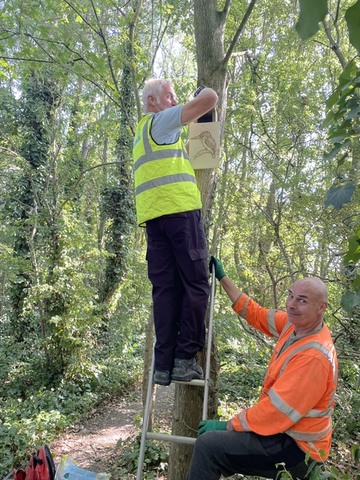 Nest Boxes