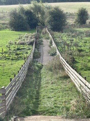Path