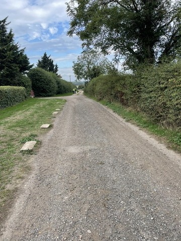 New Path