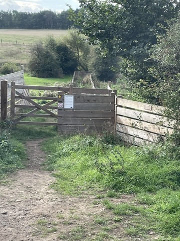 New Path