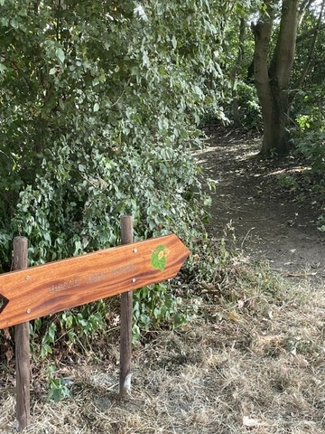 Signage 3