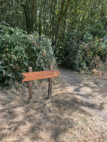 Signage 4