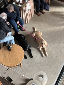 “Russ” & “Rosy”