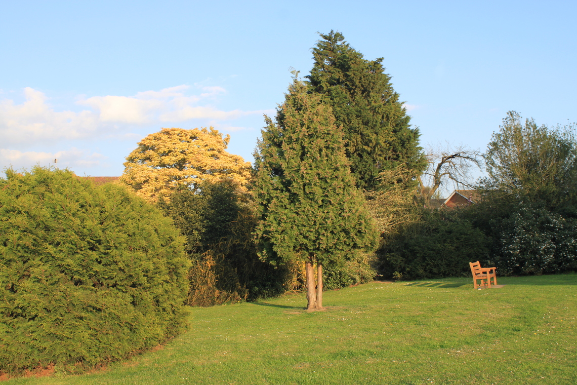 Carlisle Park as you enter from Carlisle Road