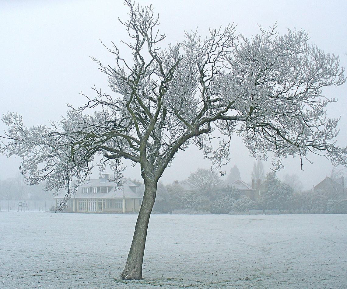 Winter in Carlisle