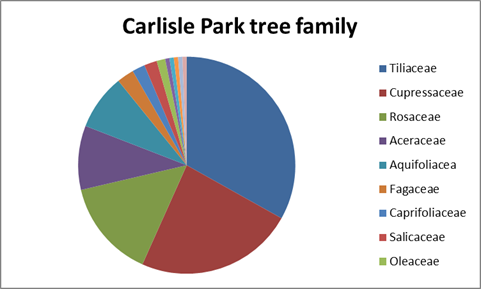 Carlisle Park tree family