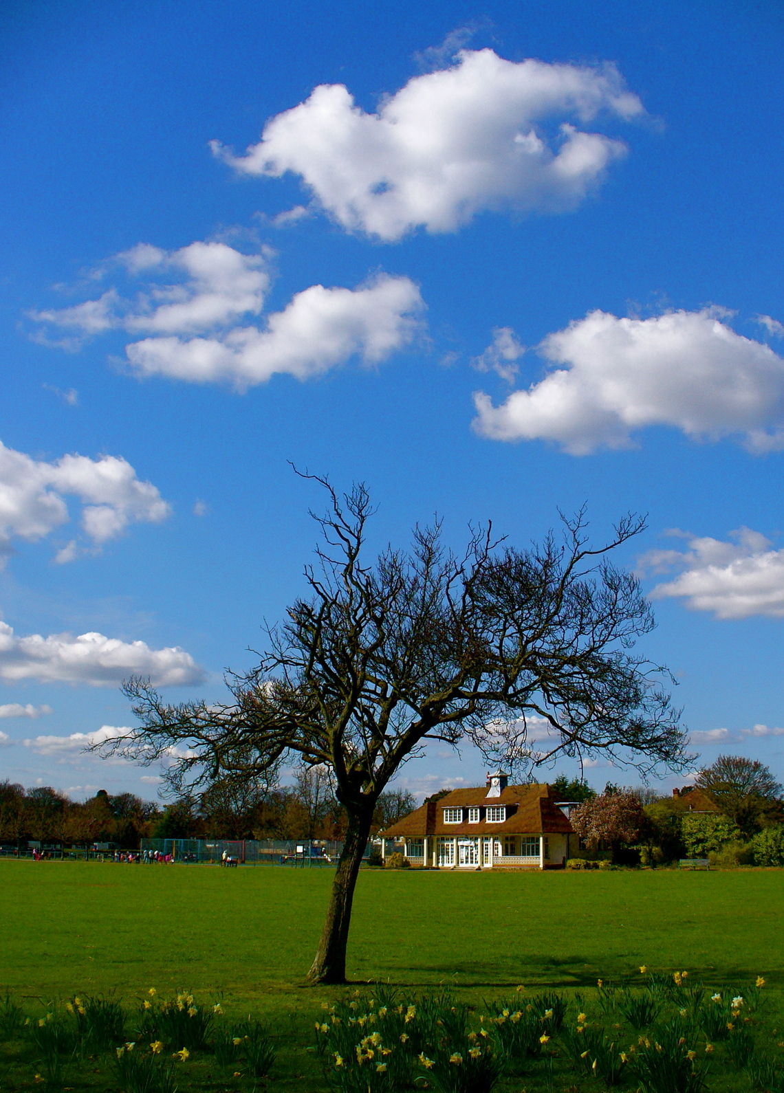 Pavilion