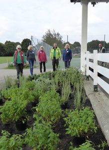 Setting out all complete - a job well done!