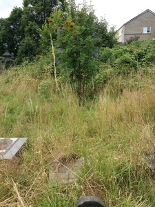 Section 1