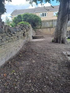 We continued clearing the back section, top corner  finished result August 2023