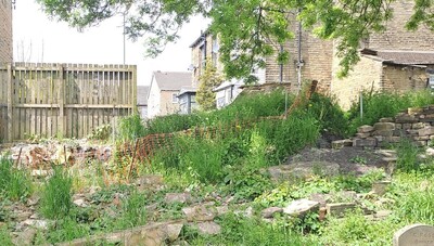 Dry-stone Wall (part 2)