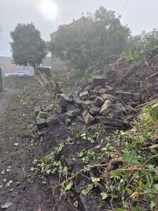 TASK3 –clearing the debris. The gates can now be seen. Notice the leaning tree!