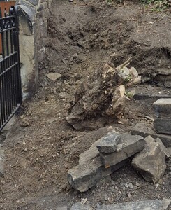 TASK5 - With much manual effort, the privet tree stump was dug out