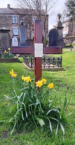 Daffodils for the children's grave