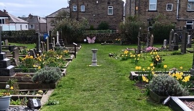 Main Avenue in spring