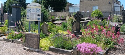 Cemetery in Bloom