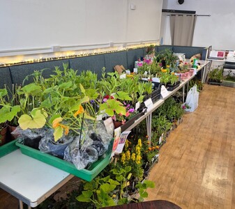 Our plant stall