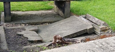 Jonas Smith headstone laying face-down and broken